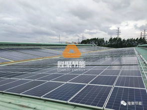 綠色能源助力降本增效 東莞標域紙品廠光伏發電系統并網成功，電費削減顯著